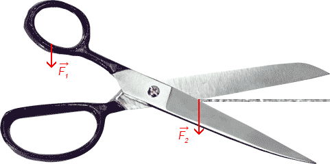 Пользуясь рисунком 169, объясните действие ножниц как рычага.