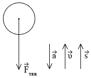 Направление векторов ускорения, скорости и перемещения мяча по отношению к силе тяжести при его движении вверх.